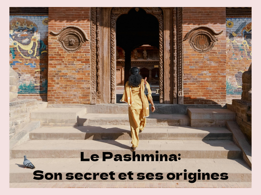 Pashmina origine